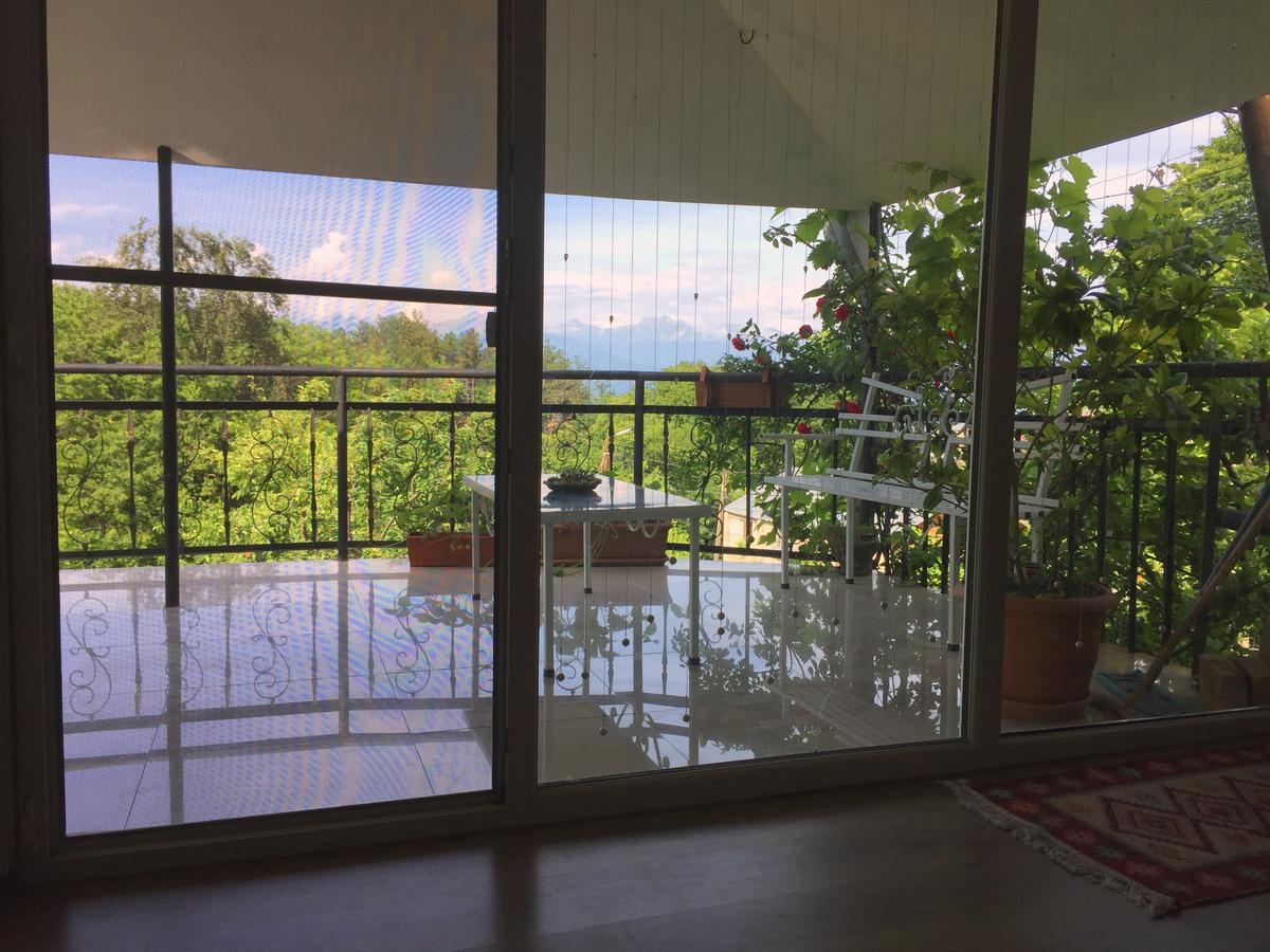 Nino'S Veranda Apartment Telavi Eksteriør bilde